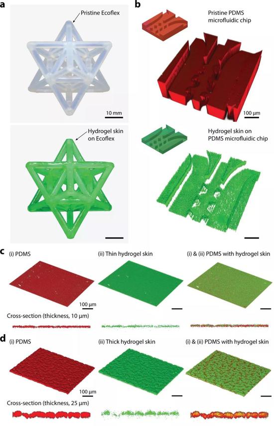 图3。 a在厘米尺寸的“Octet truss”形硅橡胶上均匀制备的水凝胶皮肤；b在具有微米级 “沟槽”的硅橡胶微流控芯片上均匀制备的水凝胶皮肤；c薄且较光滑的水凝胶皮肤；d厚且较粗糙的水凝胶皮肤