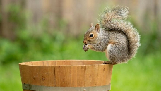 新浪科技综合|微单相机专用 适马正式发布150-600mm F5-6.3 DG DN OS