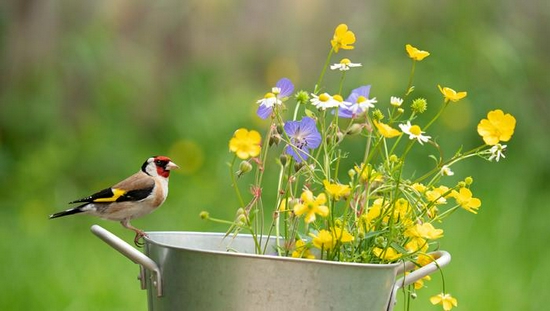新浪科技综合|微单相机专用 适马正式发布150-600mm F5-6.3 DG DN OS