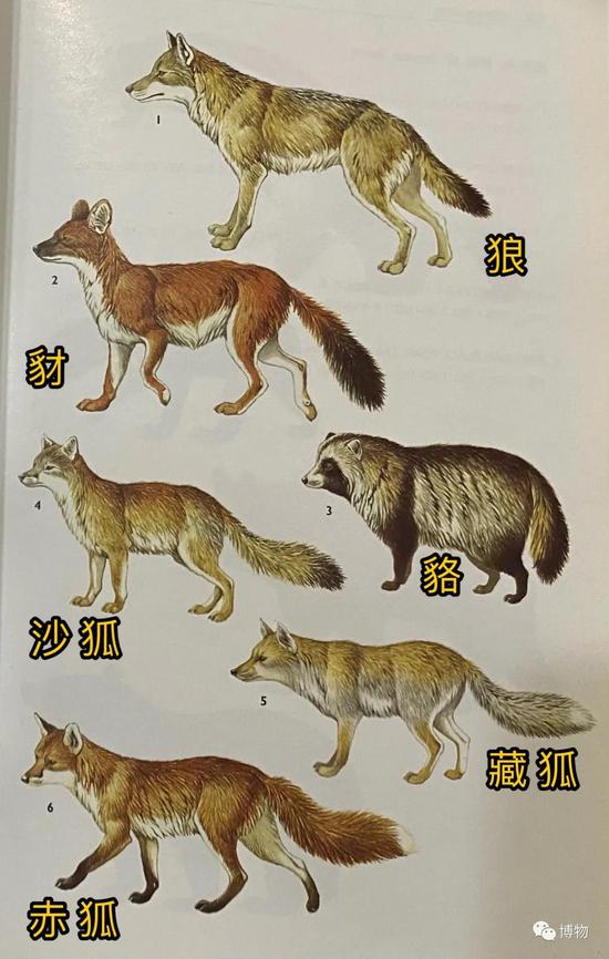 Ȯ�ƶ���һ��