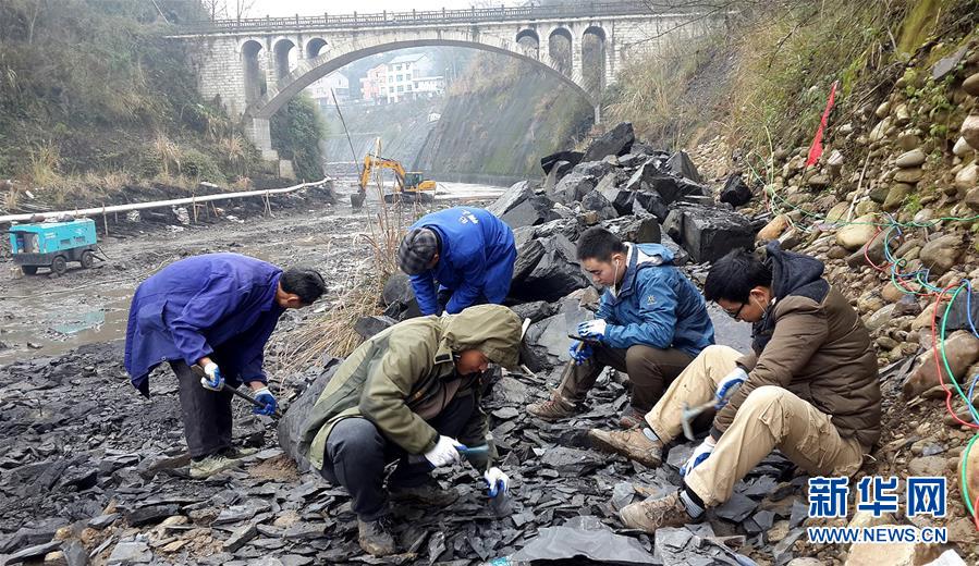 2014年，西北大学地质学系的师生在湖北省宜昌市丹水河进行“清江生物群”化石挖掘。新华社发（西北大学供图）