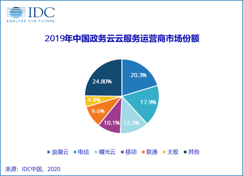 2019年中国政务云运营商市场份额/图源：IDC