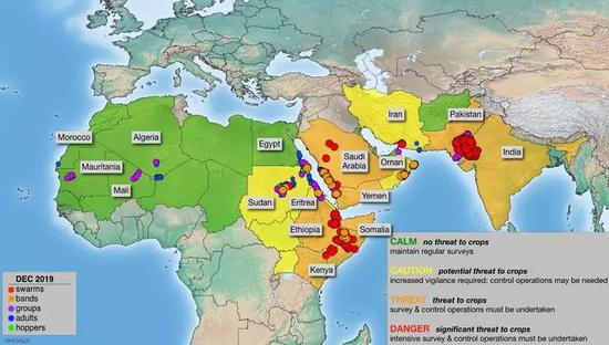 我国蝗虫监测预警和防治能力不断提升，国内大面积暴发蝗灾风险很低