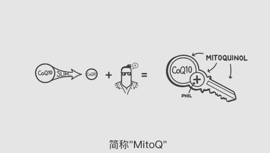 新浪科技综合|每个人的身体里有几万亿个发电站,这是怎么回事?