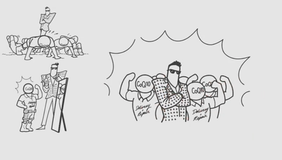 新浪科技综合|每个人的身体里有几万亿个发电站,这是怎么回事?