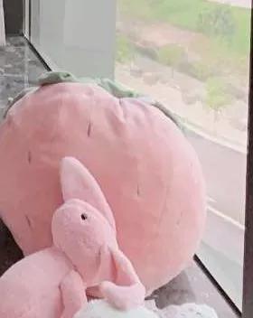 王珞丹住址:只因自拍瞳孔倒影暴露住址?一张照片是怎么出卖你的