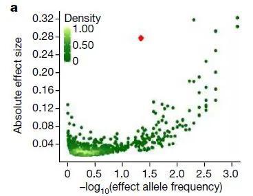  ▲与过去在欧洲人群中发现的3000多个影响身高的基因变异体（绿点）相比，此次新发现的基因变异体（红点）对身高有强烈影响（图片来源：参考资料[1]）