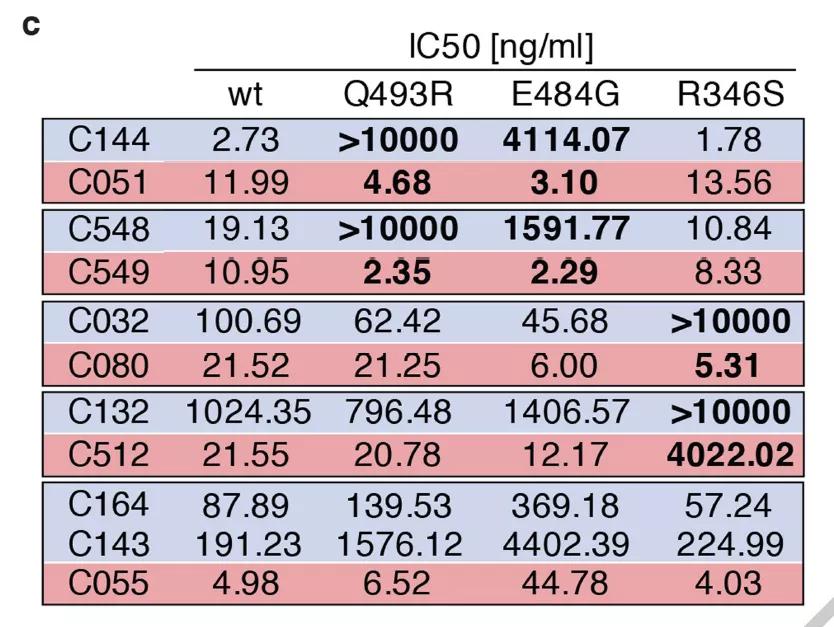 对于特定新冠病毒基因突变，1.3个月获得的有些单克隆抗体虽然无效（例如IC50&gt;10000或者很高），但是在6.2个月时进一步演化的抗体产生中和效力，IC50数值显著下降（蓝色背景为1.3个月时获得的抗体表现，红色背景为6.2个月时进一步演化的抗体表现）