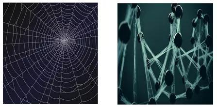 图2 蜘蛛丝（左）和人造蜘蛛丝（右）（图片来自网络）