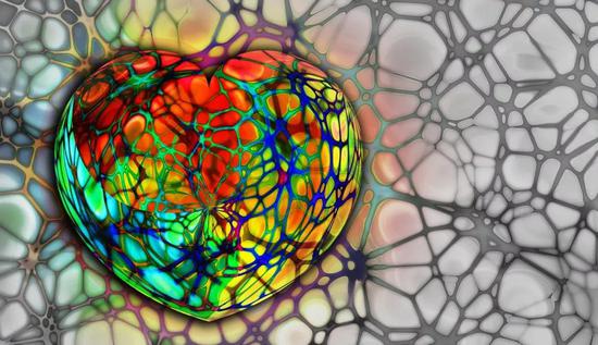 ģTownsend et al 2018 Epigallocatechin-3-gallate remodels apolipoprotein A-I amyloid fibrils into soluble oligomers in the presence of heparin Journal of Biological Chemistry https//doi.org/10.1074/jbc.RA118.002038