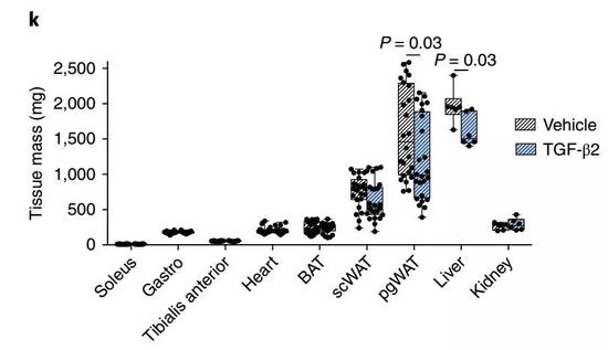 TGF-β2使各个组织中的脂肪都下降了