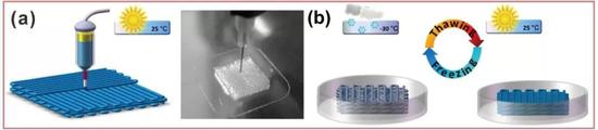  图2 3D打印制备物理交联水凝胶。（a）3D 打印水凝胶结构。（b）冷冻-解冻循环后处理制备高强度、耐溶胀水凝胶。