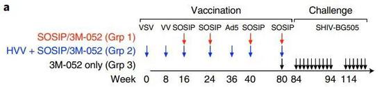 ▲实验动物分为3组，接受不同的疫苗接种方案，并接受病毒注射以检验不同方案的保护效果（图片来源：参考资料[1]）