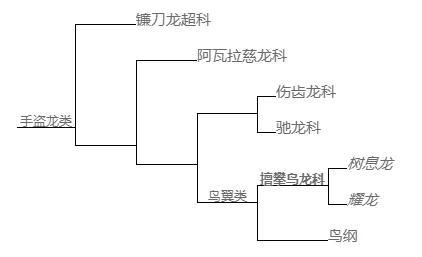 Fig.2 学者于2008年提出的一种演化树版本（局部）[1]