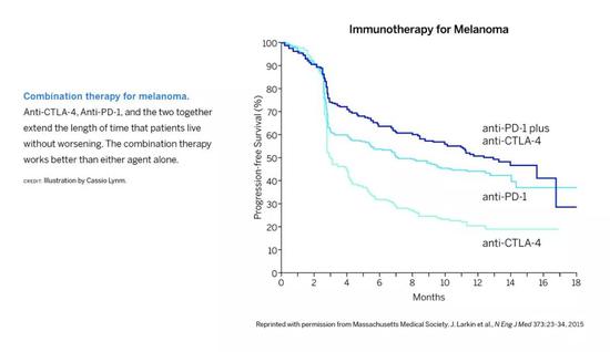 ▲几种免疫疗法合用，效果更佳（图片来源：参考资料[3]，Cassio Lynm）