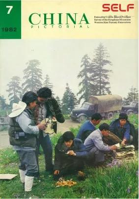 人类未来移民太空,地衣可能就可以作为一个先遣队