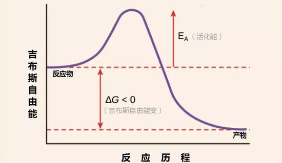  活化能（EA）示意图，虽然从反应物（reactants）到产物（products）之间的吉布斯自由能变（△ G）小于零，反应理论上完全可以发生，但还必须克服活化能（EA）才能发生反应。（图片来源：wiki）