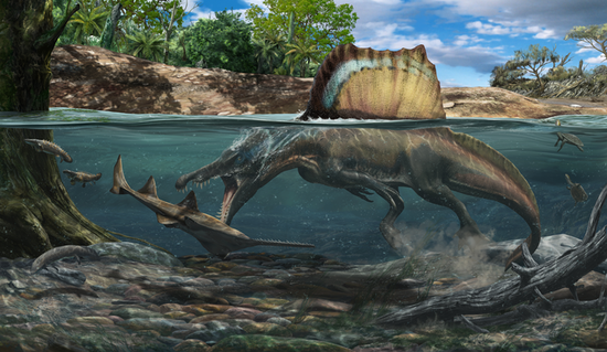 它才是唯一会游泳的恐龙？最新《自然》有了新发现