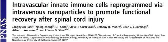 修复脊髓损伤，这些纳米粒子或许可以第一时间帮大忙