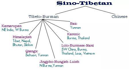 汉藏语系的分支（图片来源：STEDT/UC Berkeley）