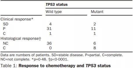  p53结构（上） TP53与化疗效果的关系（下）