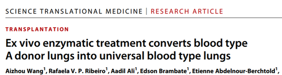 “万能”移植器官时代即将来临？新研究或让移植肺可不限血型