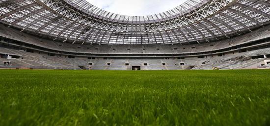 ▲俄罗斯世界杯揭幕战，卢日尼基球场就采用了含有5%人工草成分的“混合草皮”