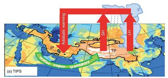 SH感热（由于大气运动从地面向大气传输的热量），LH水汽凝结潜热，TP青藏高原，IP伊朗高原，绿色箭头水汽输送。