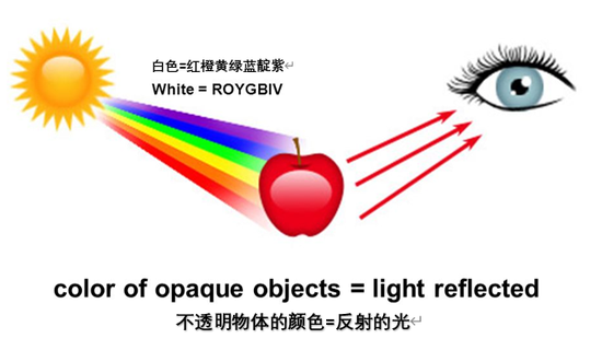 一个均匀不透明的物体，如红苹果，被阳光照射时，其它波长的光被它吸收，反射出的颜色和人眼的生理机制决定了苹果的红色 | Quora，图有改动