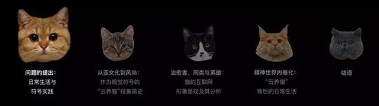 喵星人统治互联网:今天,你看“猫片”了吗?