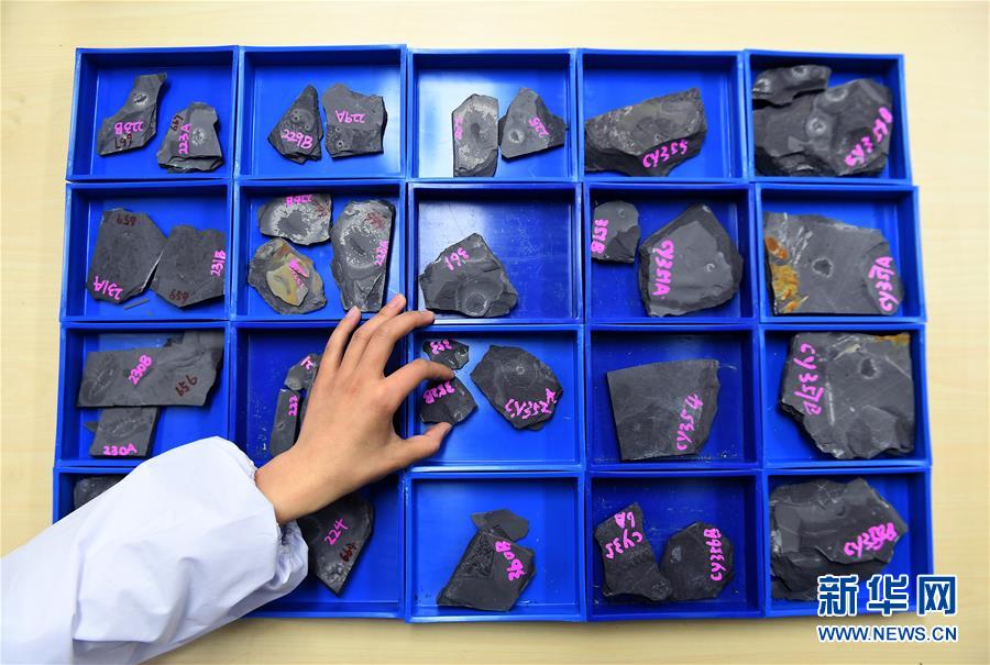 西北大学地质学系的学生在查找“清江生物群”化石（4月8日摄）。新华社记者 刘潇摄