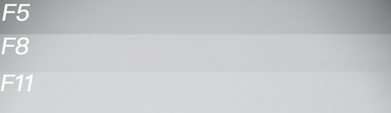 新浪科技综合|生态摄影新浪潮 适马150-600mm F5-6.3 DG DN OS镜头评测