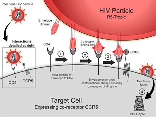 （来源：sciencedirect.com）