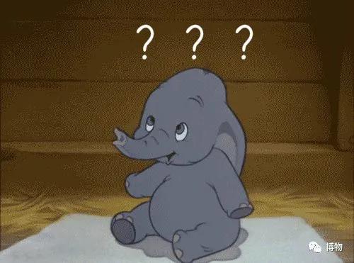 �����㿴�����Ǹ����µ�С������