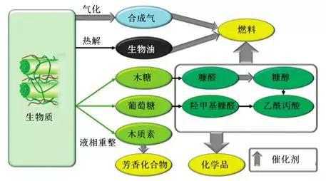 图3 生物质转化过程（图片来自网络）