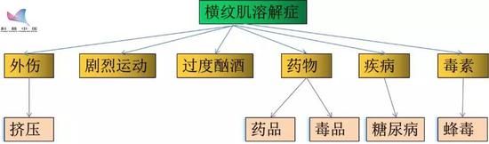 引发横纹肌溶解症的高危因素 （图片来源：作者自制）