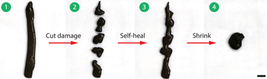 这可能是你见过最丑机器人：像“毒液”般随意变形还能重生