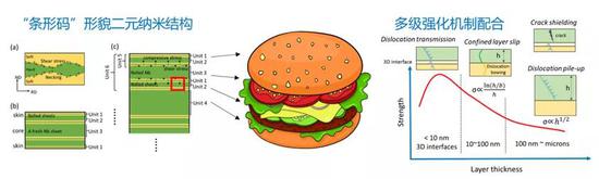 图3 纳米叠层金属中类似“汉堡”的多尺度结构及其强化机制