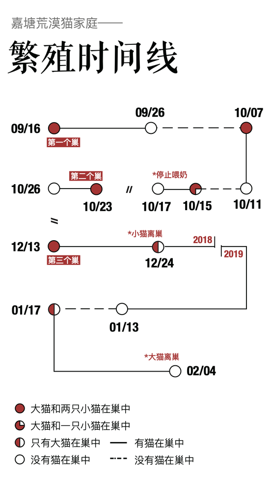 「新浪科技综合」不在荒漠的荒漠猫新浪科技综合2020-08-04 10:02:480阅