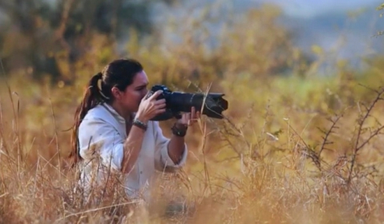 期待更多惊喜 尼康Z9消息汇总