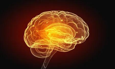 圖片來源：123RF