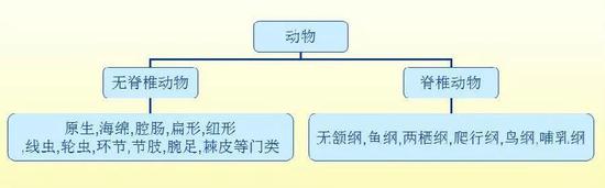 蛇是 卵生 还是 胎生 哺乳动物 卵生 蛇 新浪科技 新浪网