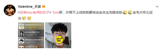 没有tony老师的日子 选对理发器自己剪起来