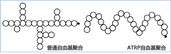 普通自由基聚合形成的支链结构（左）和可控自由基聚合形成的规整结构（右）