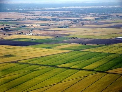 加利福尼亚州萨克拉门托是美国主要的水稻生产基地，但是在2021年却遇到了干旱事件，而不得不大规模减少水稻播种。图/wikipedia