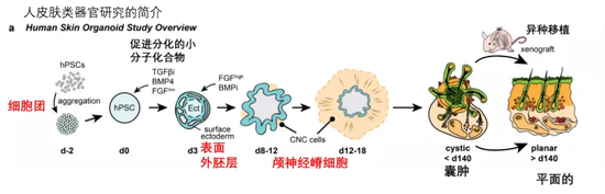 图片来源：参考文献1