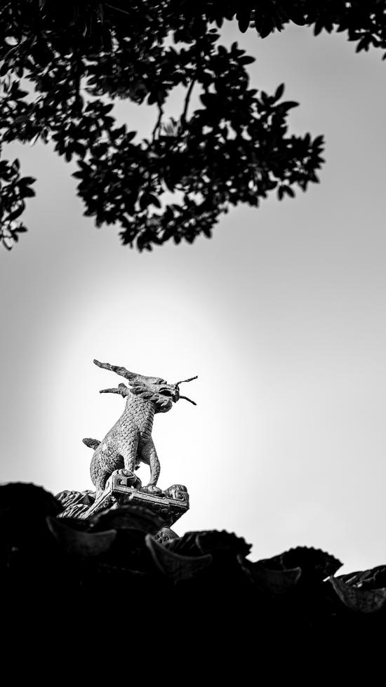 新浪科技综合|四胞胎老大出世 松下LUMIX S 85mm F1.8评测