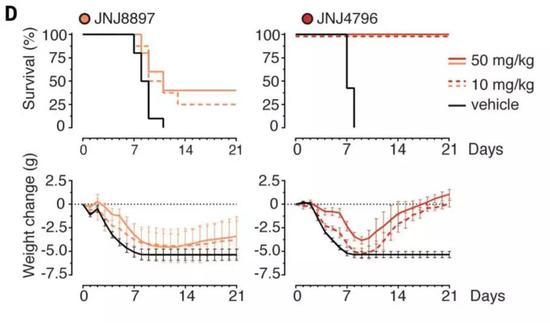 ▲相较另一款分子，JNJ-4796在小鼠中的治疗效果更好（图片来源：《科学》）