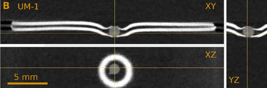 显微镜（266x）的中子层析成像，灰色为镜片所在，各角度看都是圆形，直径大约1.3毫米