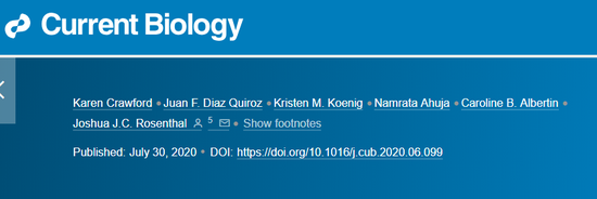 「新浪科技综合」基因魔剪版鱿鱼出世，神经研究更上层楼新浪科技综合2020-08-21 11:53:330阅